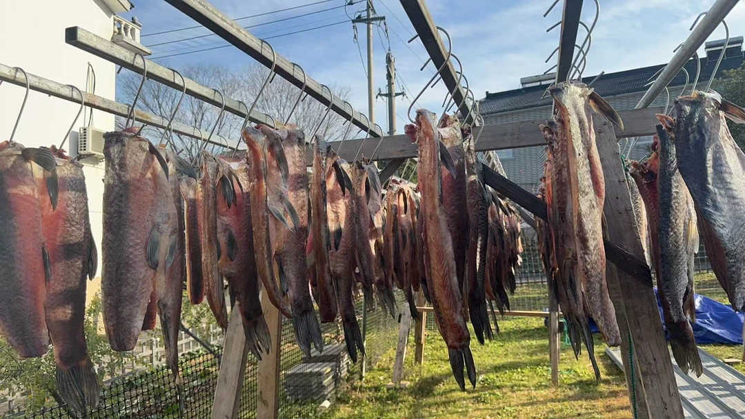 宜兴竹海 风干咸青鱼 现称现买