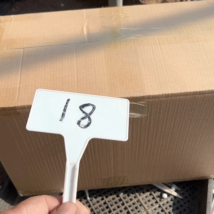 我****你多肉植物法师不售后