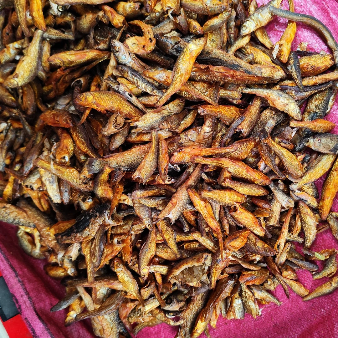 广西桂林全州农家自制烟熏腊鱼仔野生小江鱼火赔鱼淡水鱼小杂鱼