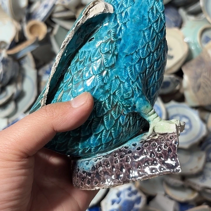 我***片瓷片瓷片标本，顺丰包邮