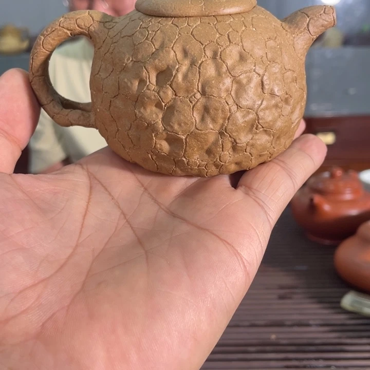 茶壶紫砂哈哈哈哈哈这个综艺节目真的是太