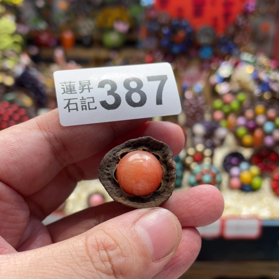 核桃木/黑胡桃（胡桃木）菁*儿387