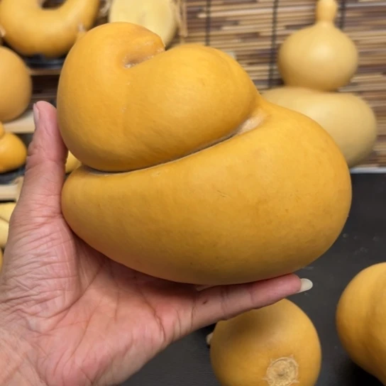 雲*?1569998899988899