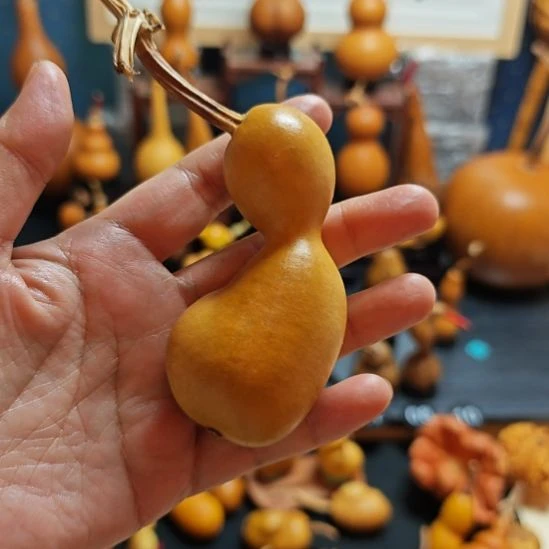 江***上直播间链接葫芦葫芦