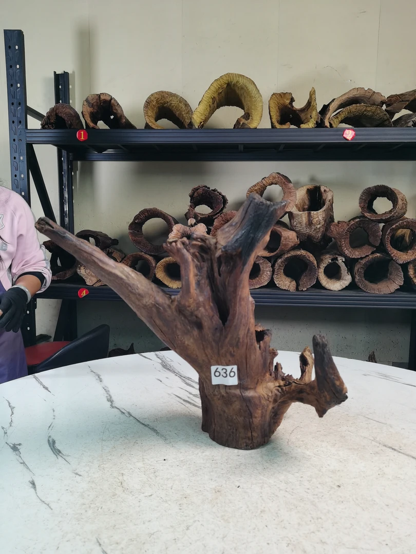 云南紫柚木秒沉沉木636