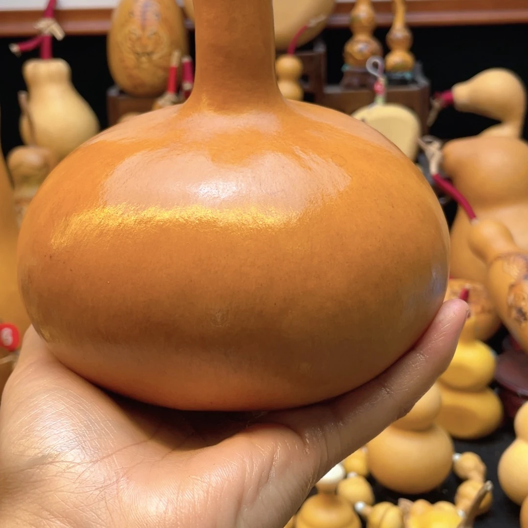 葫**儿大自然的秘密第十节第一节