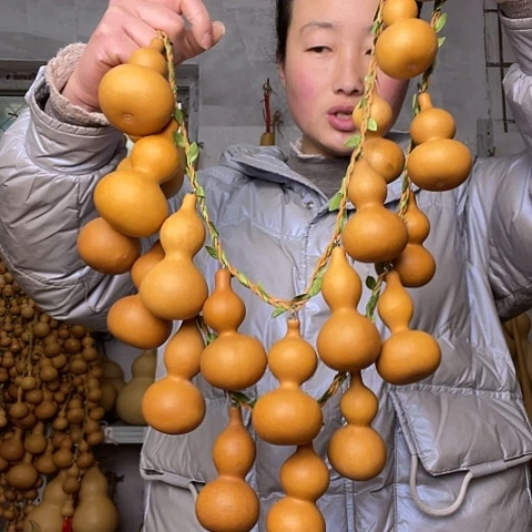天然植物葫芦文玩