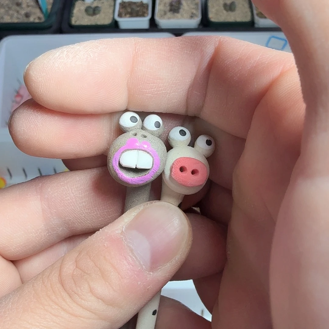 阿*dy13 啊呜 韩国摆