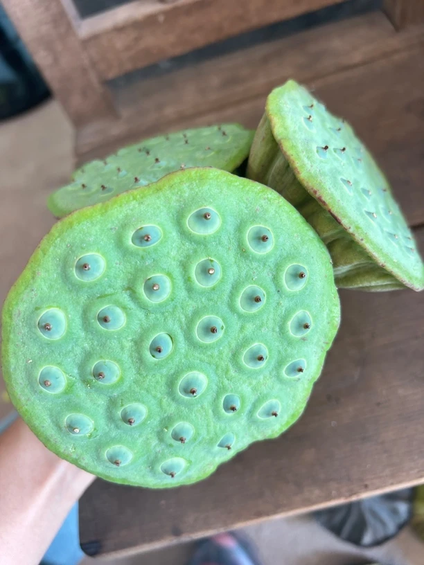 （顺丰包邮）新鲜莲蓬现摘现发甜嫩莲子米生吃清香脆甜应季水果