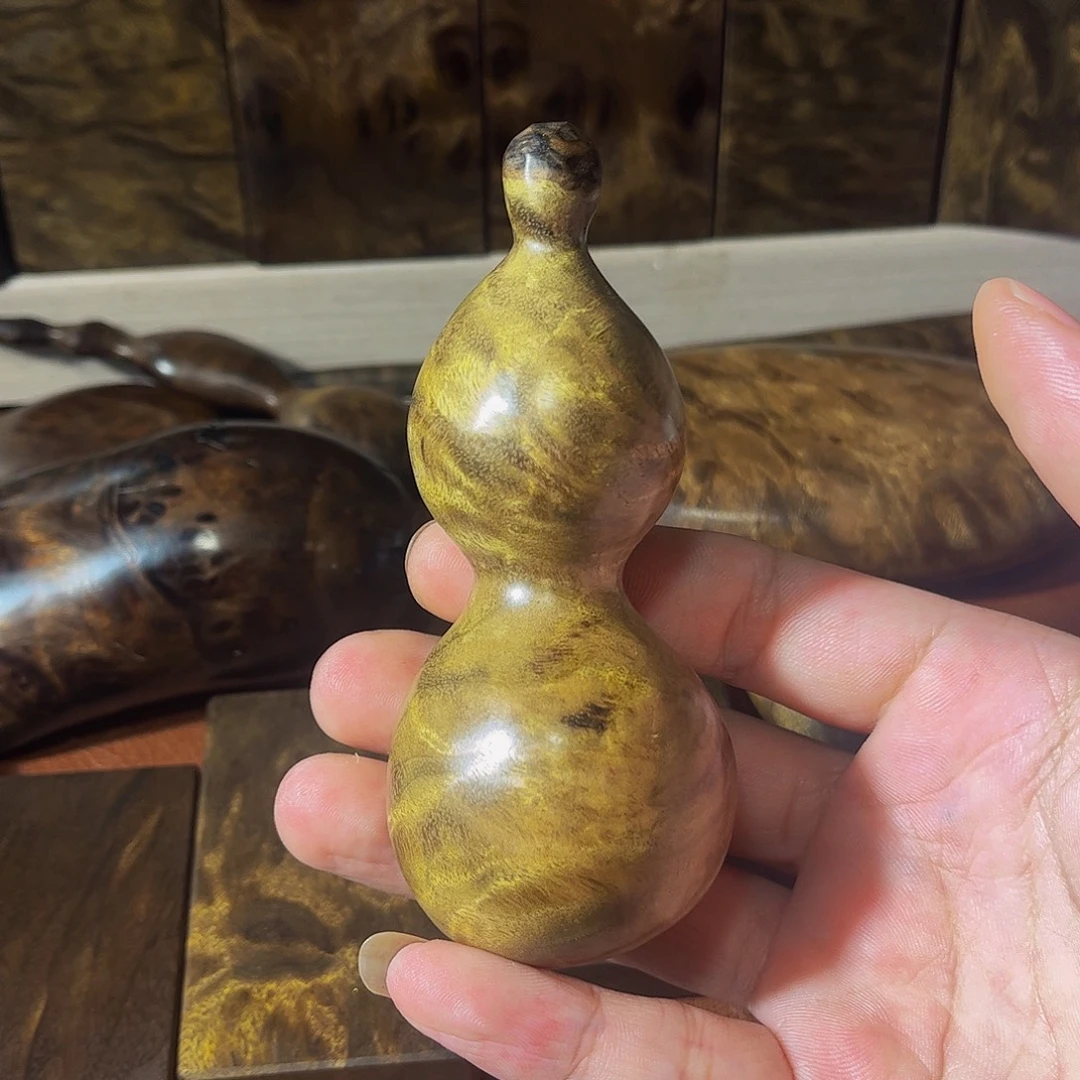 木乌木金丝楠小叶桢楠