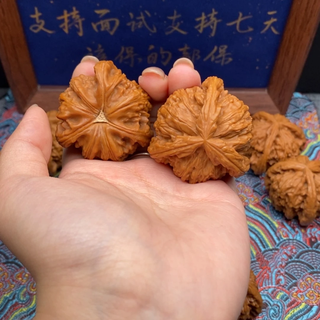 【闪购商品】佛*白狮