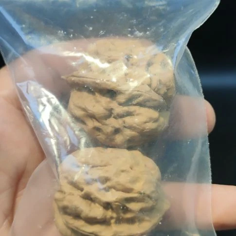 文玩核桃把件山**?玉龙蛤蟆头补发