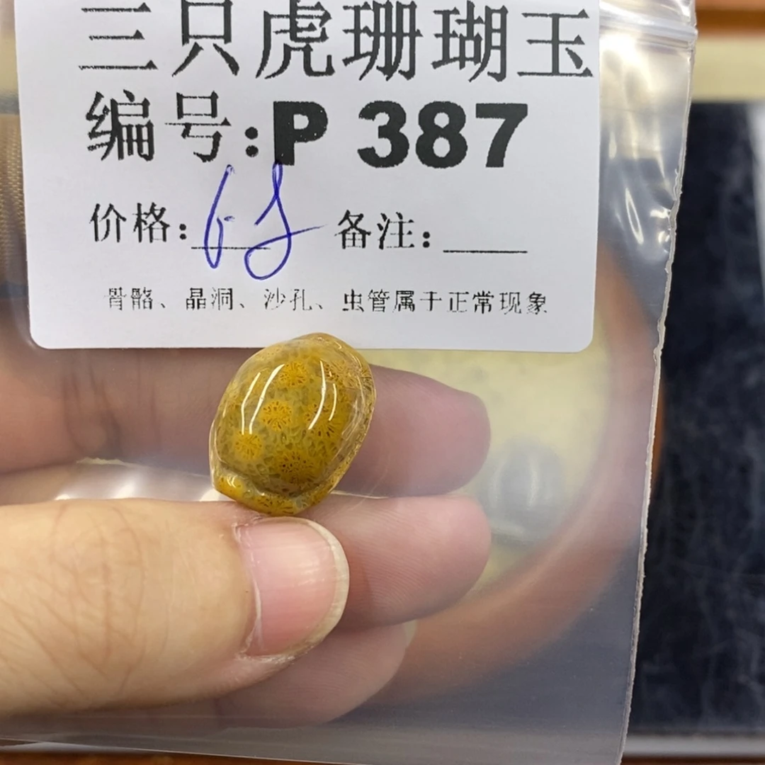 硅化珊瑚（珊瑚玉）1未镶嵌高****城