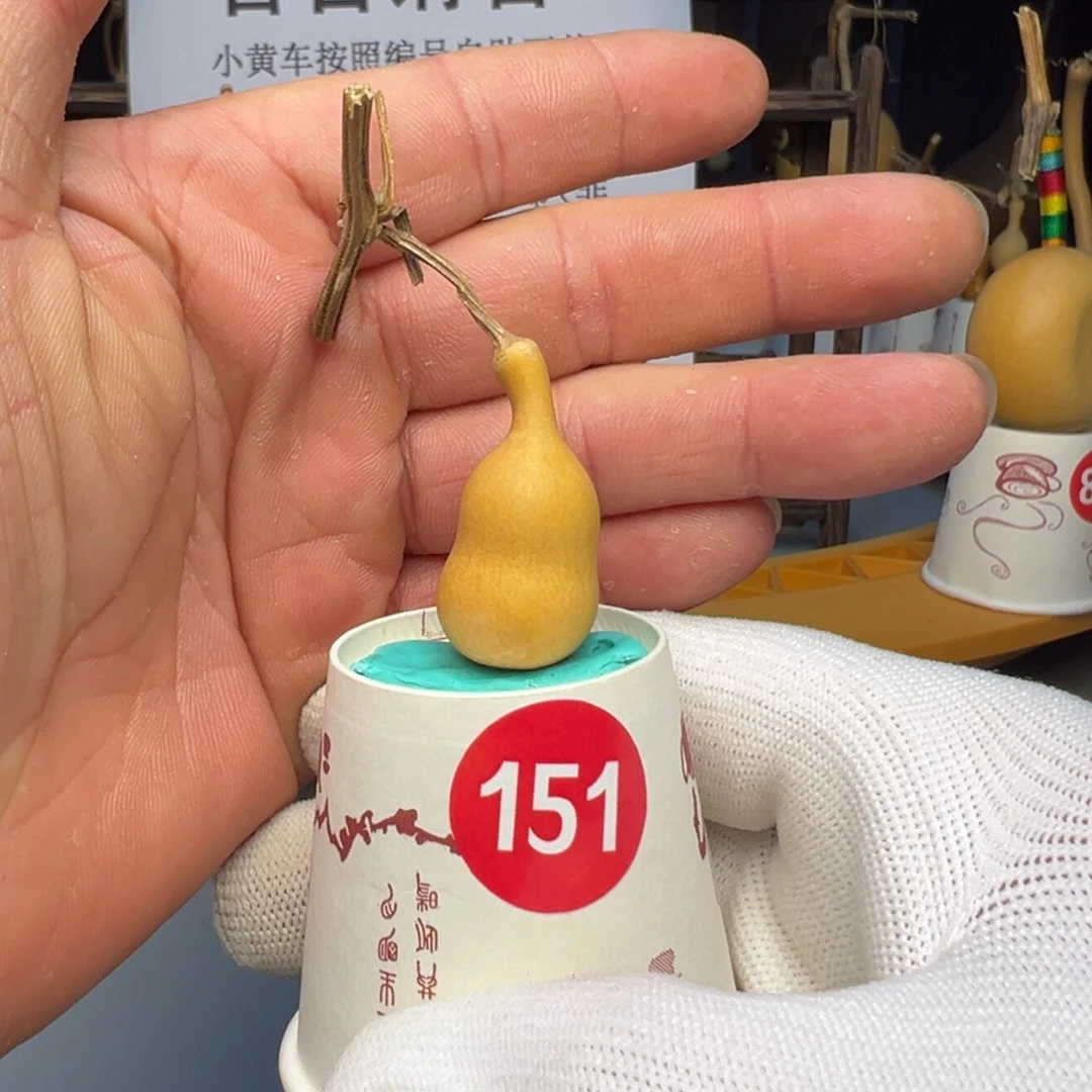 闪电购自助下单编号151