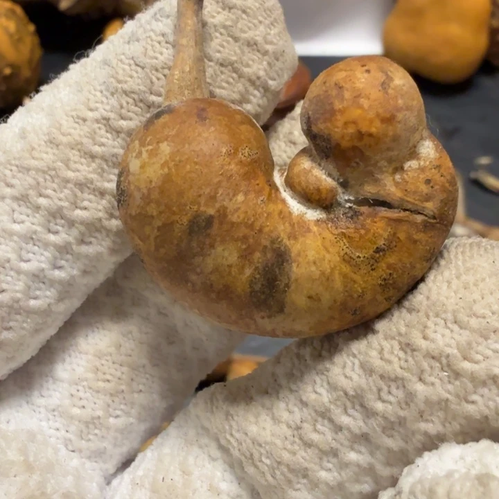 二***哥6666667677777778