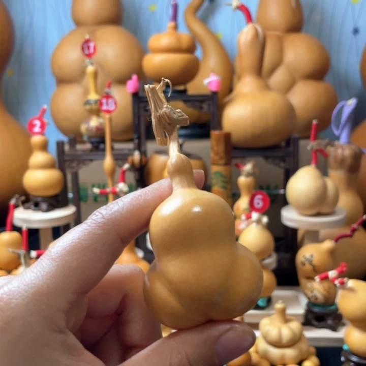 张***满你的世界有这么美好这么美