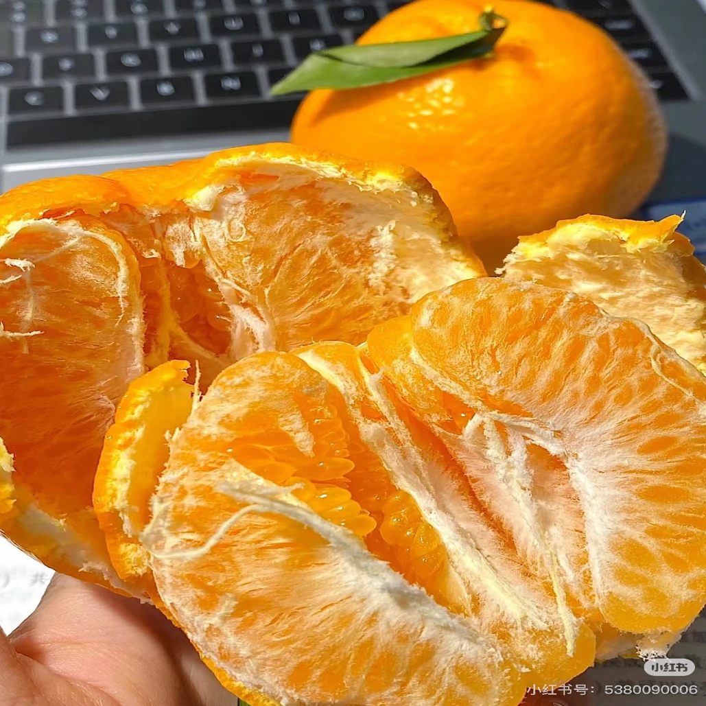 金嘉四川省春见耙耙柑四川省