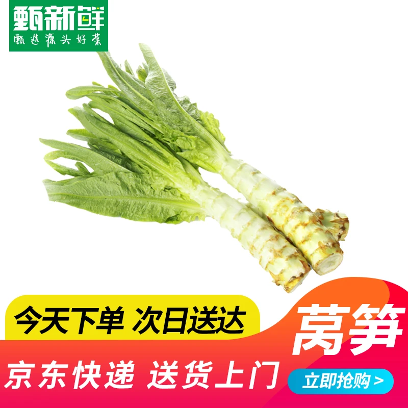新鲜莴笋蔬菜莴苣550-600g今天下单明天送到家莴笋