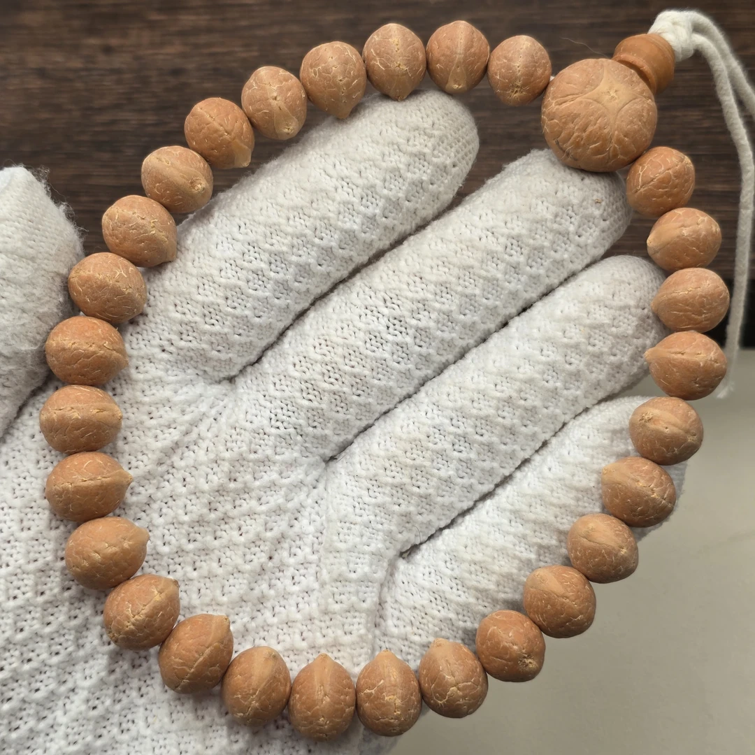 尼泊尔实心凤眼菩提-红柚sss系列-尺寸11.7到11.9-货号hy6