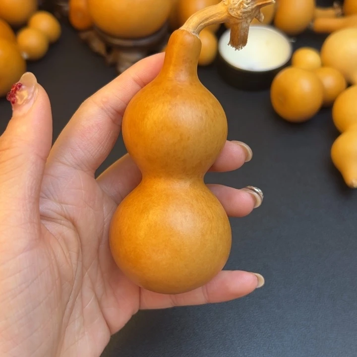 二*葫芦葫芦葫芦葫芦葫芦葫芦
