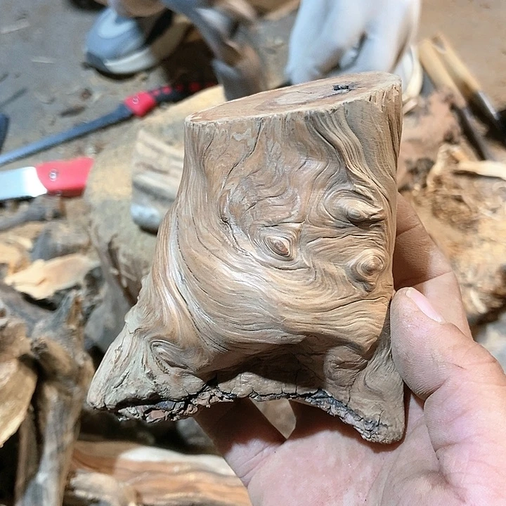 柏木难*太行山区柏木木木