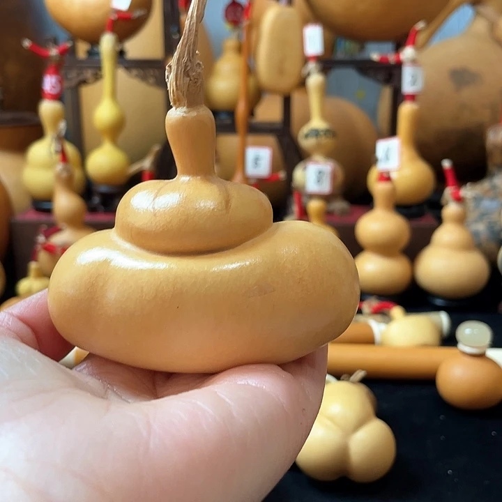 坨*你要学会了如何使用手机