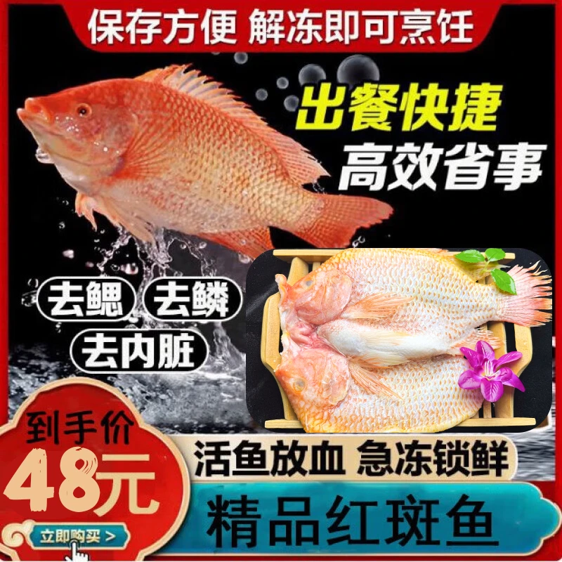 新鲜红斑鱼生鲜鱼类海鲜鲜活红石斑鱼鲜活海鲜生鲜水产
