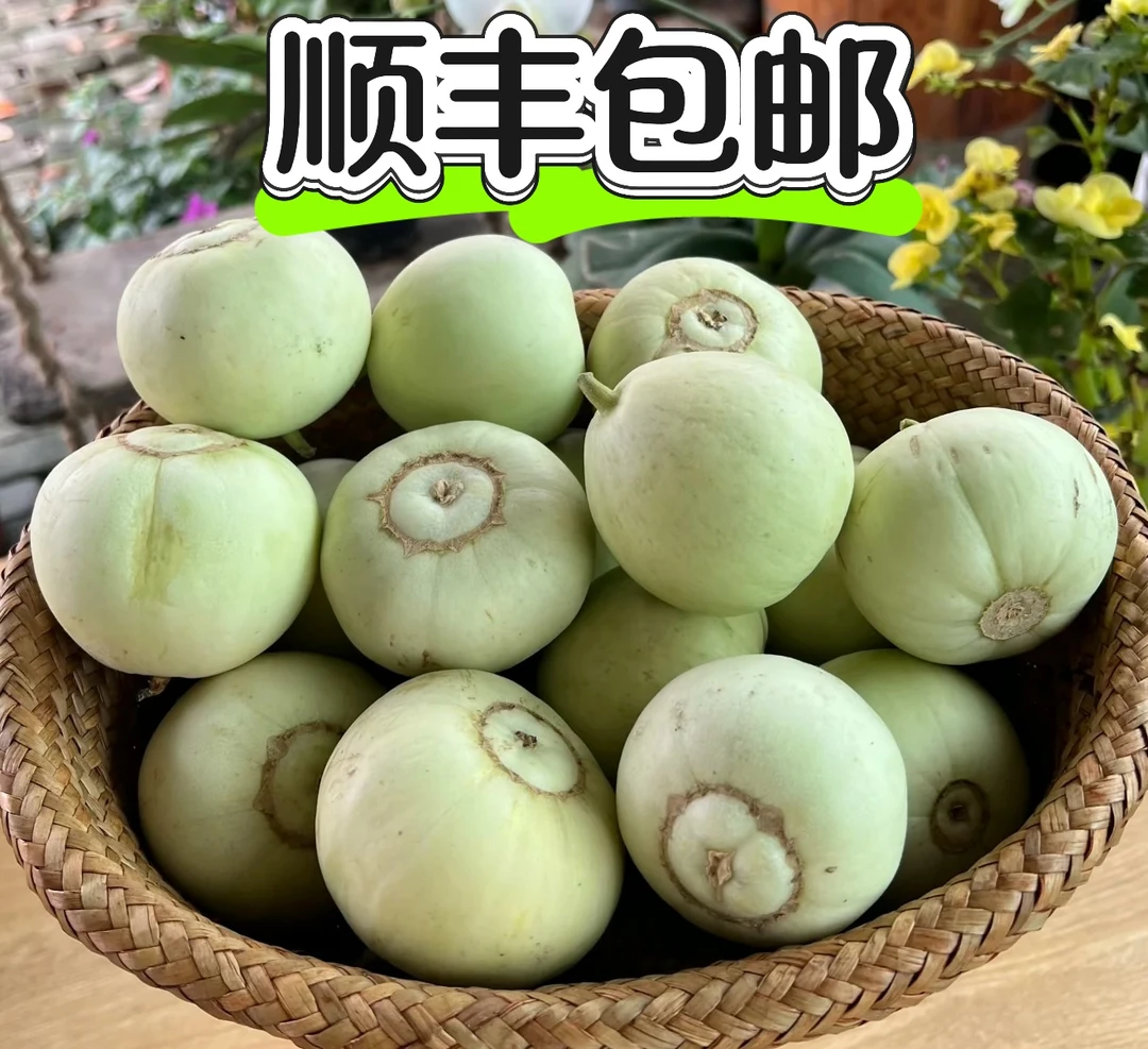 现摘现发湖南农家香瓜瓤脆如蜜邂逅高山露天应季水果【贵在快递】
