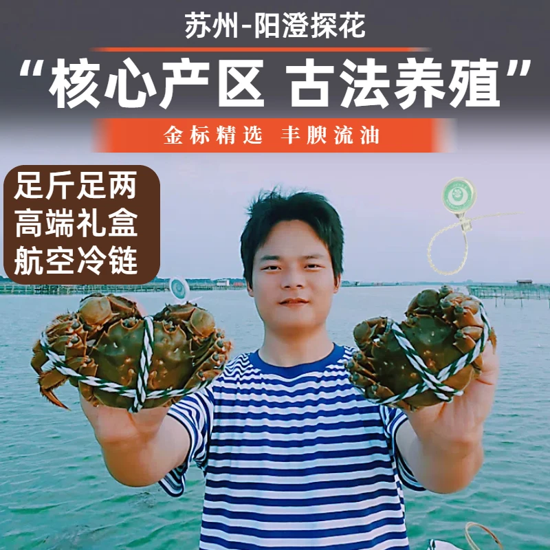 【活蟹】阳澄探花核心产区河蟹公母2.0两拍8送2共10只蟹扣礼盒装