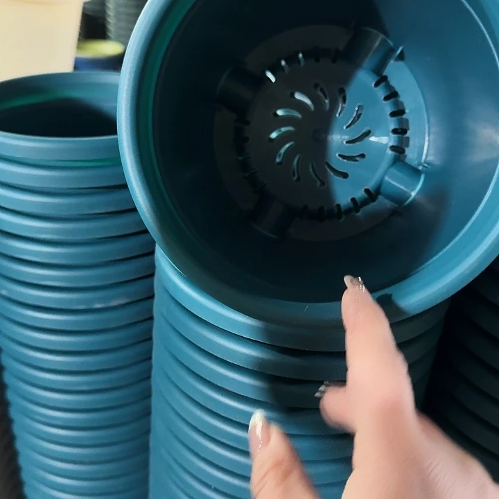 四季2号军绿无托12个