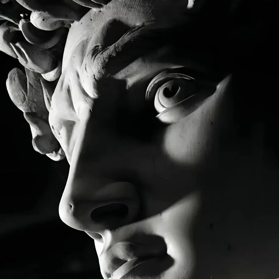 2025重磅【3M】纯棉T恤  短袖 春夏男女同款8823