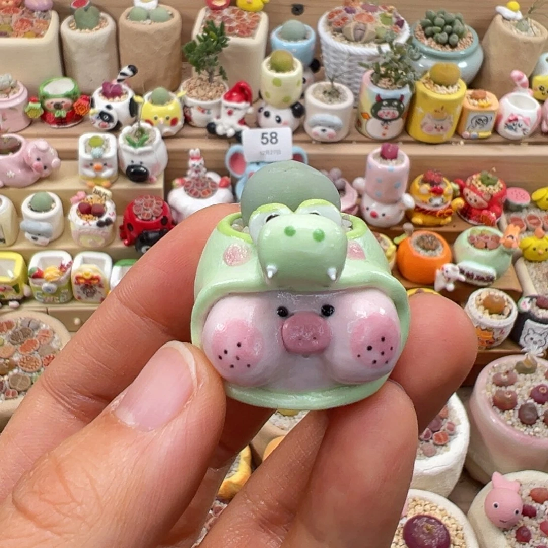 多肉植物85号拇指盆