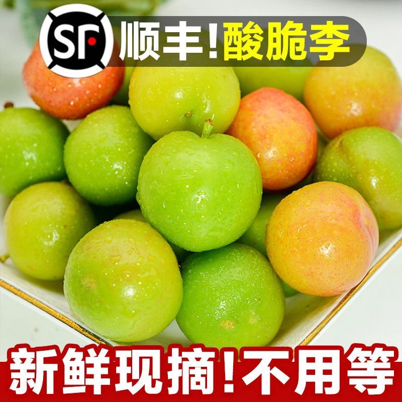 【顺丰直达】广东三月李子新鲜酸脆李现摘应季孕妇水果