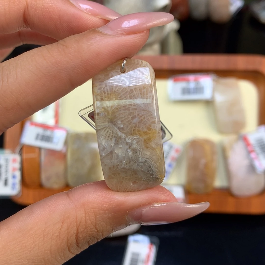 【闪购商品】颈饰未镶嵌硅化珊瑚（珊瑚玉）M****?