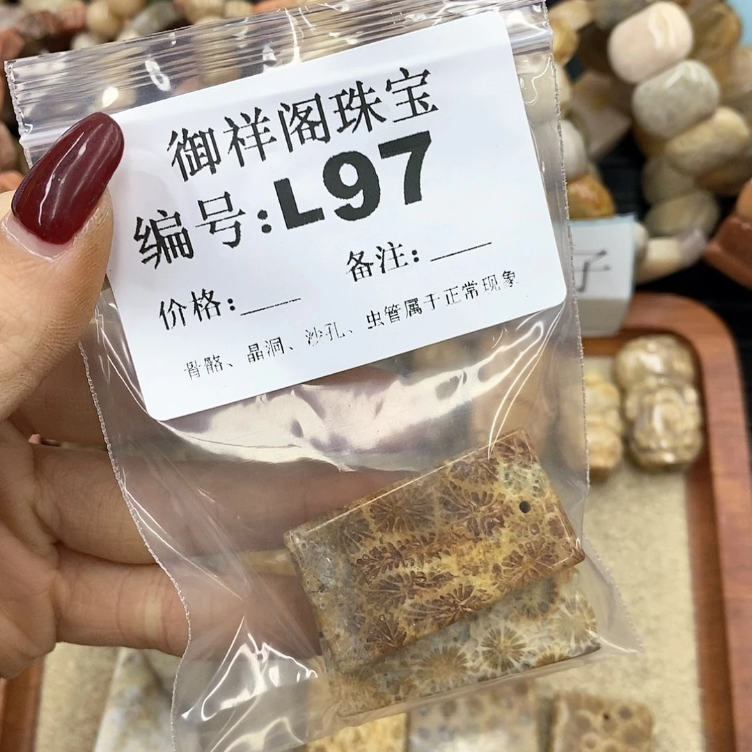 硅化珊瑚（珊瑚玉）n未镶嵌?****喵