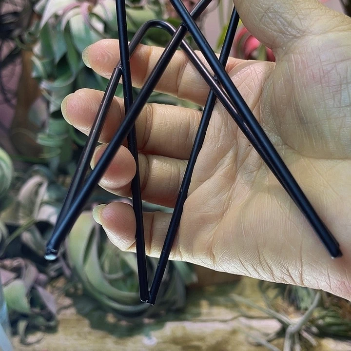 何***燕三角架 空气凤梨，