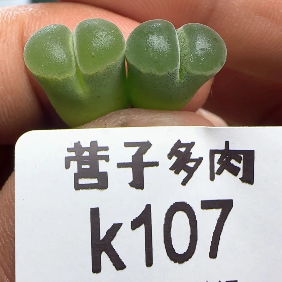 极窗400。