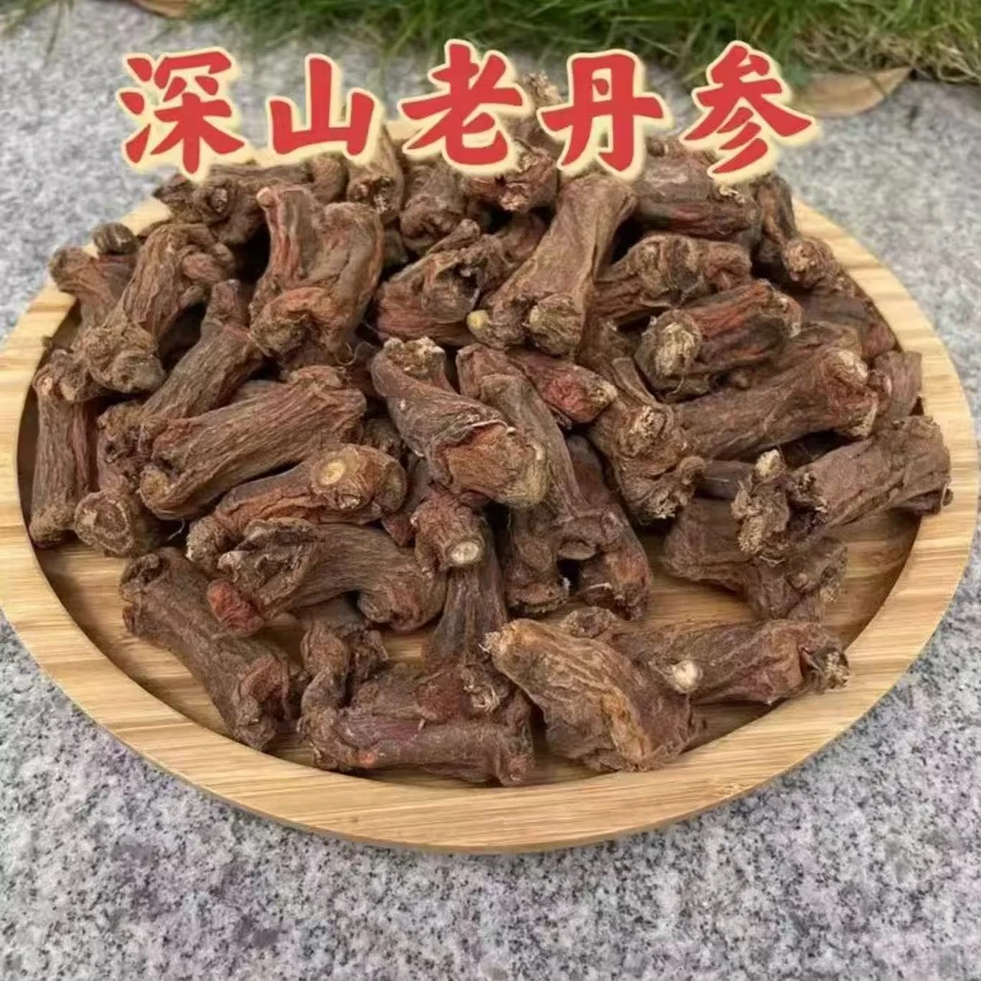【高原山货】云南桑叶高海拔自然晾晒丹参头