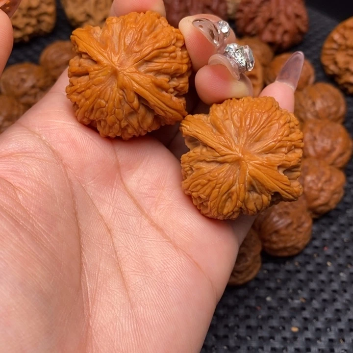 秦岭野生000009947