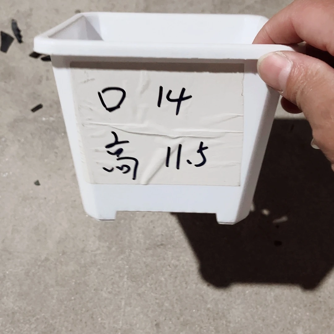 塑料升级款景天14方白色盆10个无托