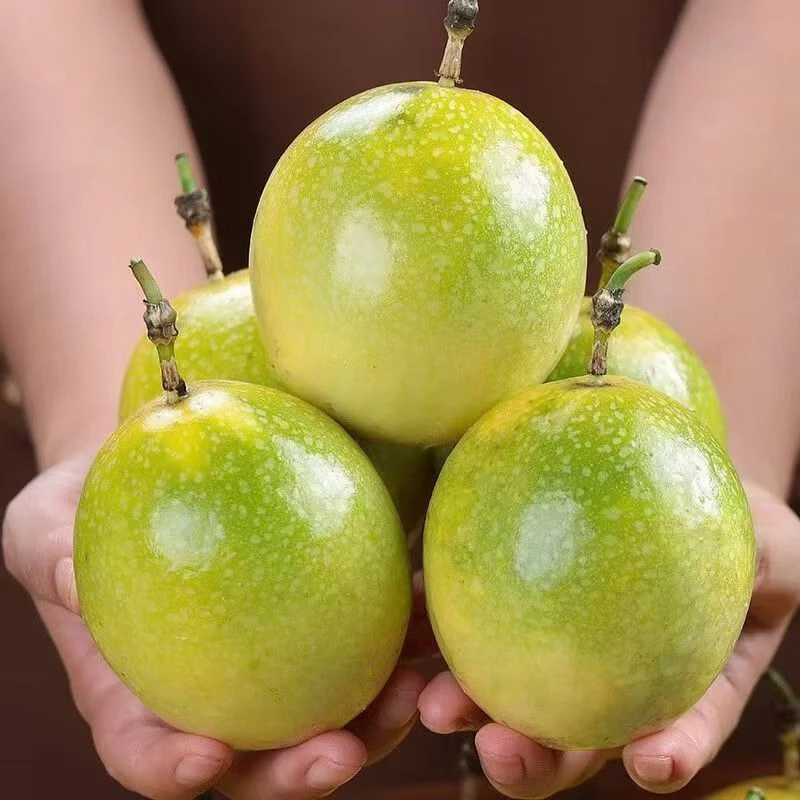 原产地武平象洞钦蜜九号（四级）