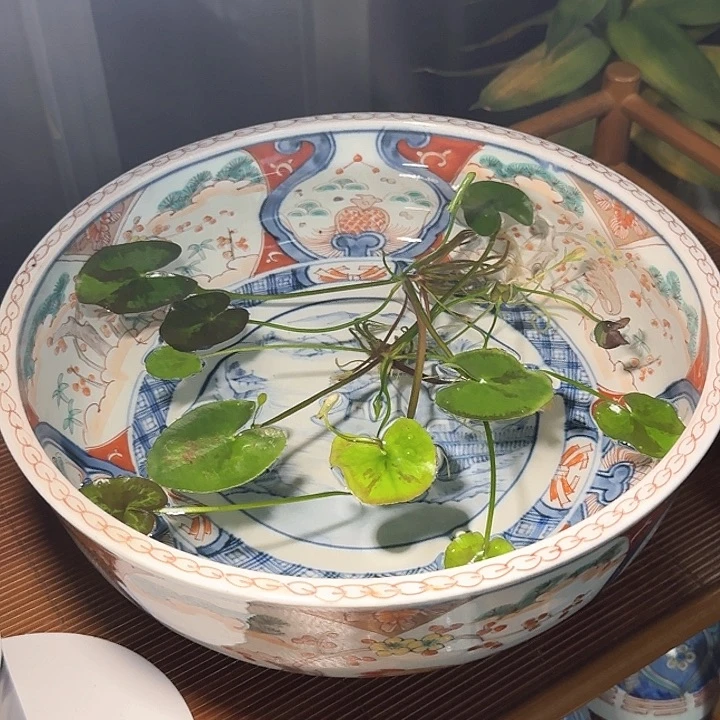 啊啊啊啊啊啊啊啊啊啊啊啊