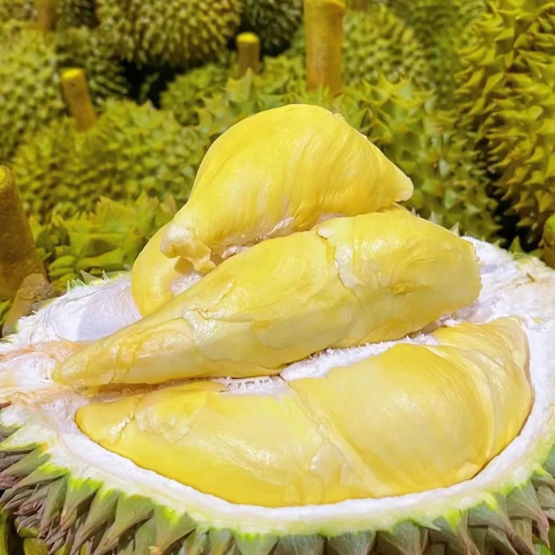 DS1【微熟】一物一拍泰国金枕榴莲路途10-15%水分重蒸发榴莲勿生切