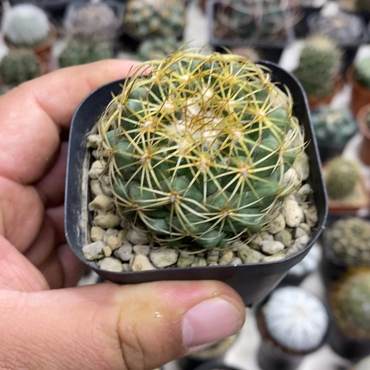 实生儒衣特价福利