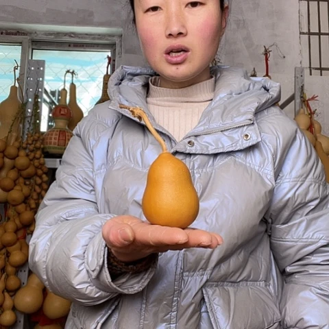 天然植物葫芦文玩