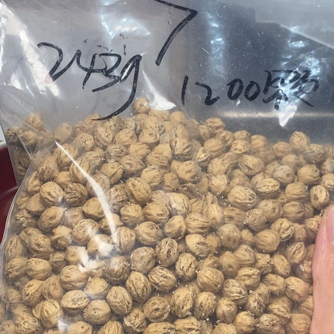 柏香籽/百香籽吊坠