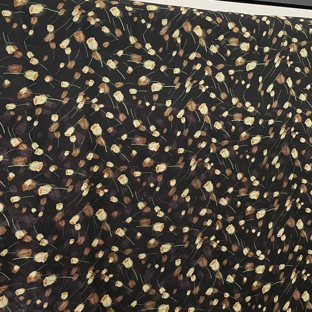 【香槟玫瑰乔其纱】连衣裙面料布料时尚时装面料