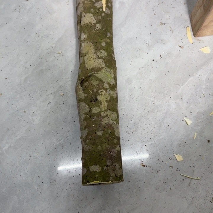 落****木透顶绿原木发一份