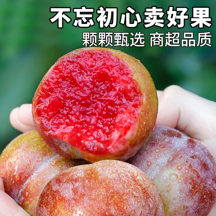 【稀有】湖北大芙蓉李新鲜现摘脆甜多汁红心李子孕妇爱吃的应季水果