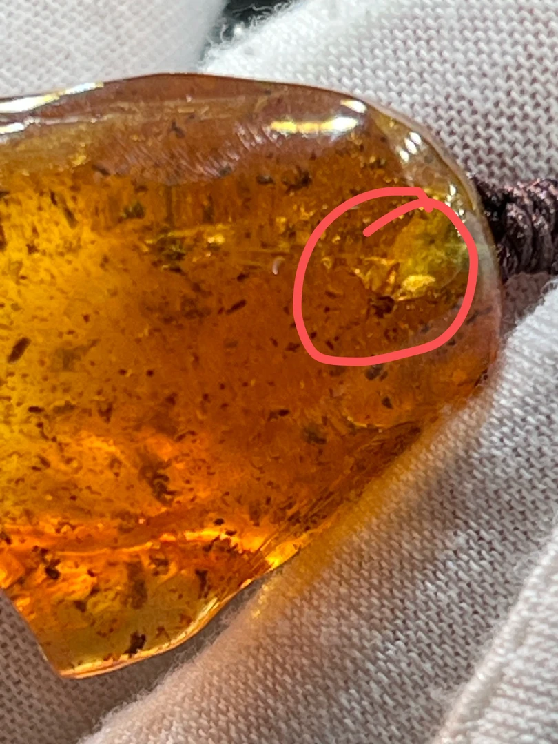 天然虫珀手工打磨抛光，搭配实心竹编织手把件天然包裹不知名昆虫